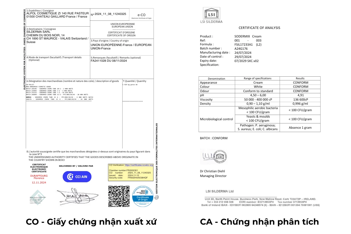 giay CO CA san pham.webp
